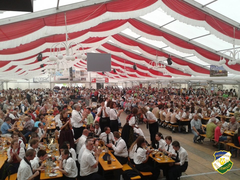 2013_Kreismusikfest_Daechingen