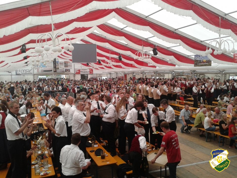 2013_Kreismusikfest_Daechingen
