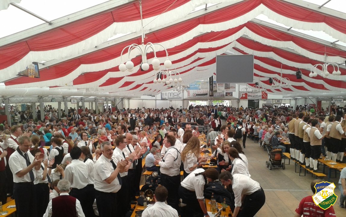 2013_Kreismusikfest_Daechingen
