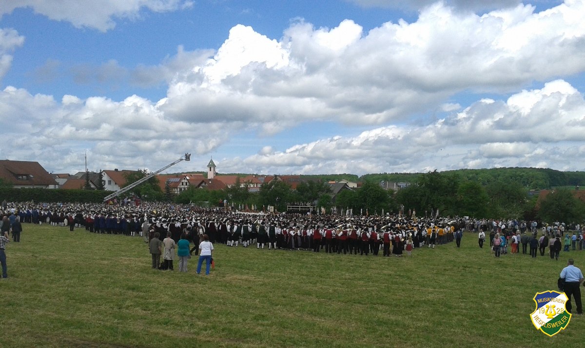 2013_Kreismusikfest_Daechingen
