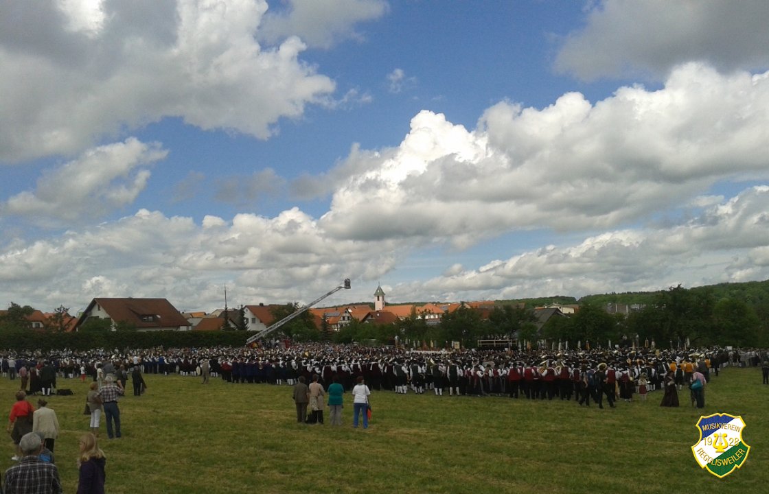 2013_Kreismusikfest_Daechingen