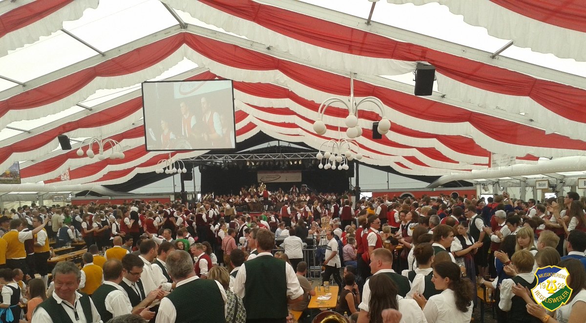 2013_Kreismusikfest_Daechingen