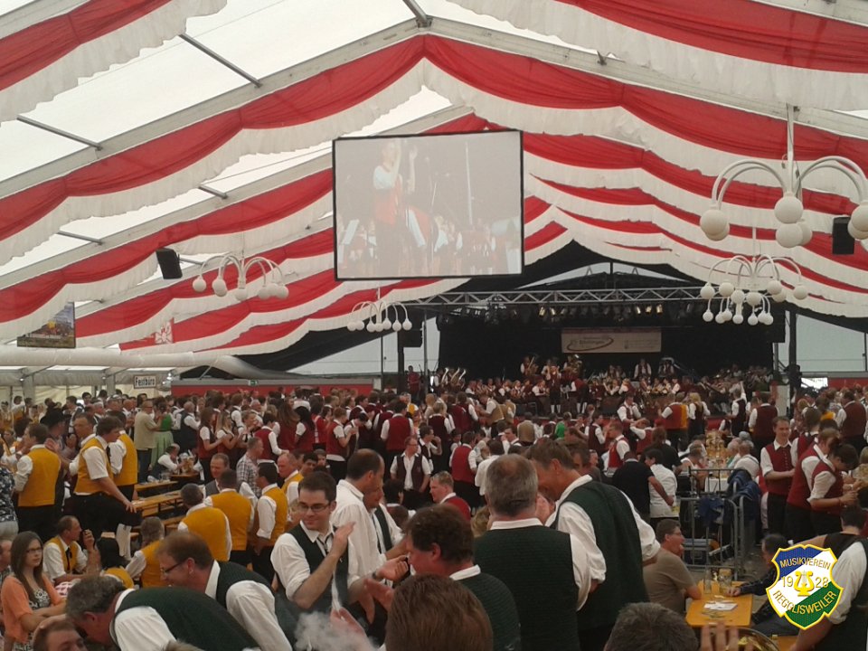 2013_Kreismusikfest_Daechingen