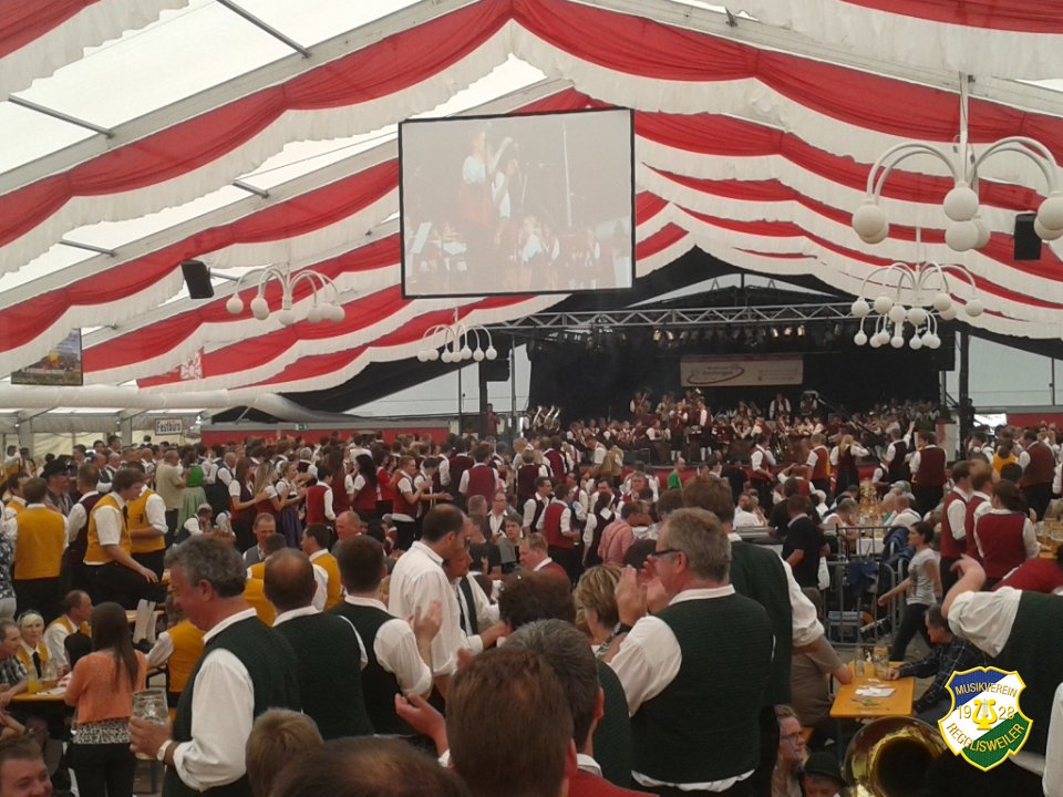 2013_Kreismusikfest_Daechingen