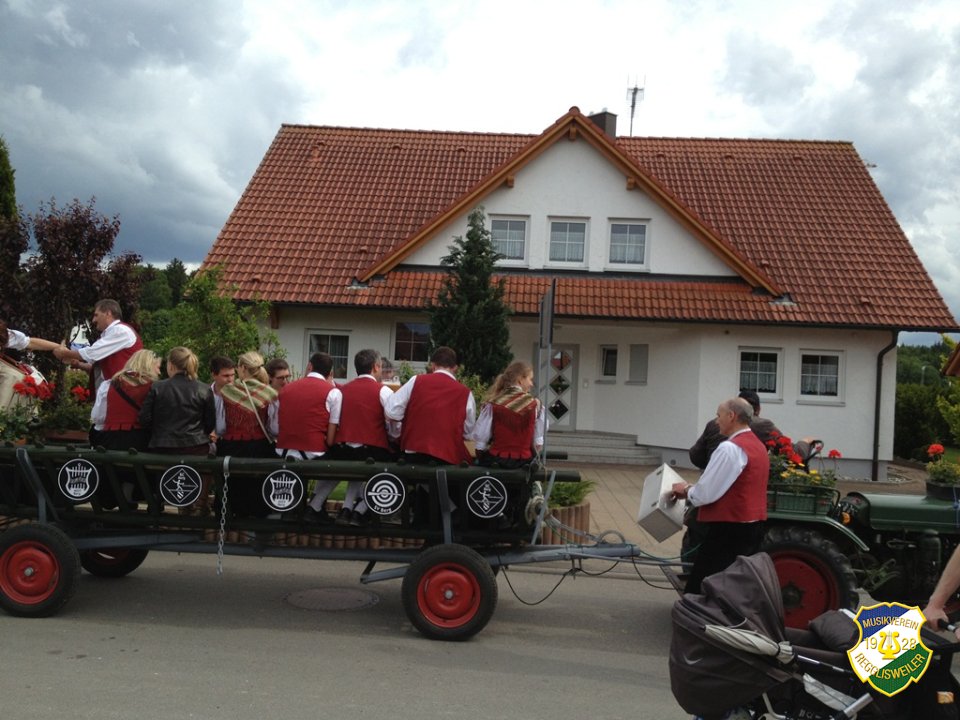 2013_Kreismusikfest_Daechingen